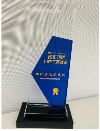 仲利国际荣获2018肯耐珂萨用户生态峰会“组织发展实践奖”