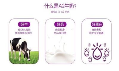 澳洲A2奶粉和荷兰牛栏奶粉哪个好？两款奶粉有什么区别？