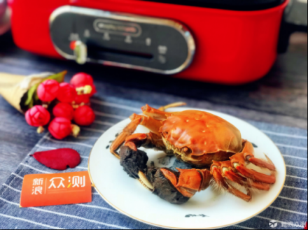 英国摩飞morphy评测：颜值实力派多功能锅