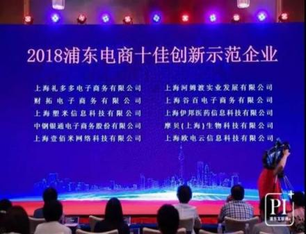 十年磨一剑·砺得梅花香 贺药房网商城获浦东电商十佳创新示范企业奖