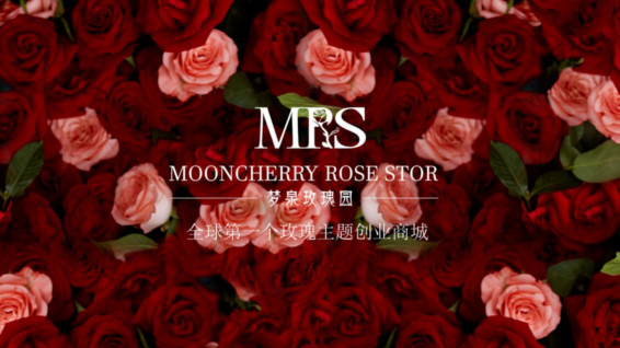 3个月粉丝百万，梦泉玫瑰园MRS商城成社交电商黑马