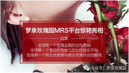 3个月粉丝百万，梦泉玫瑰园MRS商城成社交电商黑马