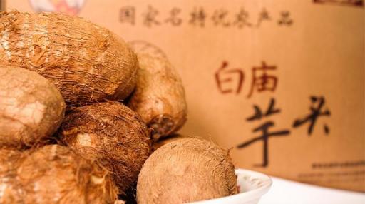 走进丨中国实干家江崇美和白庙芋头