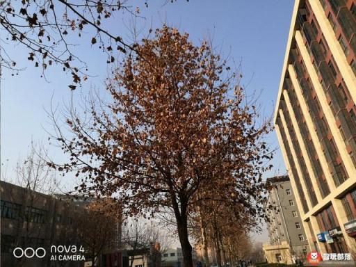 华为nova4评测：全面屏手机迎来新形态，自拍极点全面屏！