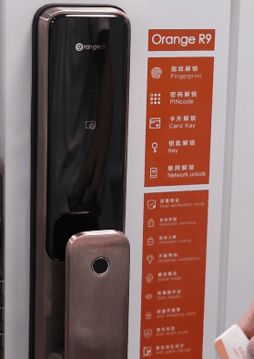 动图五.gif