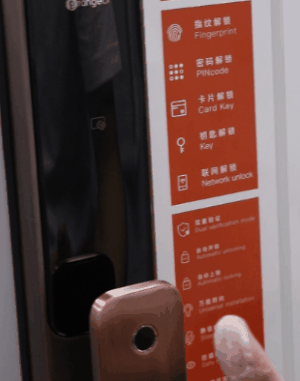 动图二.gif
