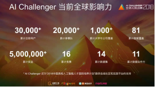 视语科技王金桥团队荣获2018全球AI挑战赛冠军