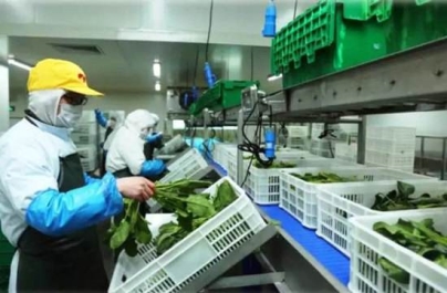 复盘团餐行业2018：十大热词看懂这一年