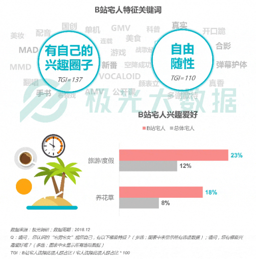 极光大数据：Z世代宅人面面观，兴趣之上、执着专一