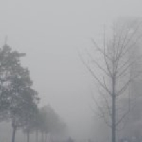 为了保持睡眠的健康，我选择了它