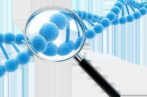 中因科技：遗传性眼病患者的福音——基因诊断和遗传阻断