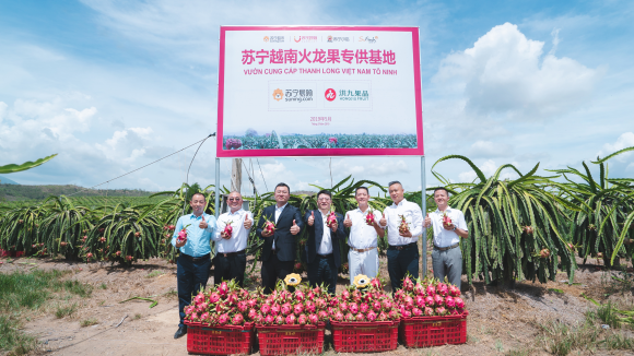 3万亩种植园抢滩水果季 苏宁快消盯上越南火龙果