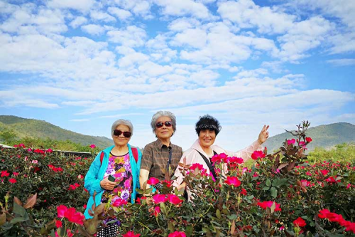 旅居养老，退休老人的快乐生活