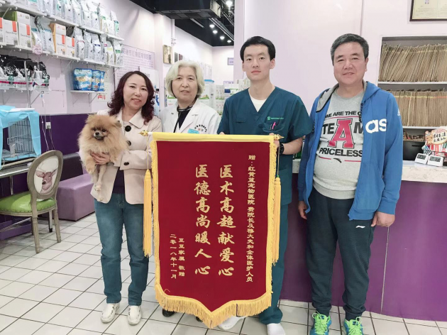 敬畏生命，他们是拯救动物的“布施者”