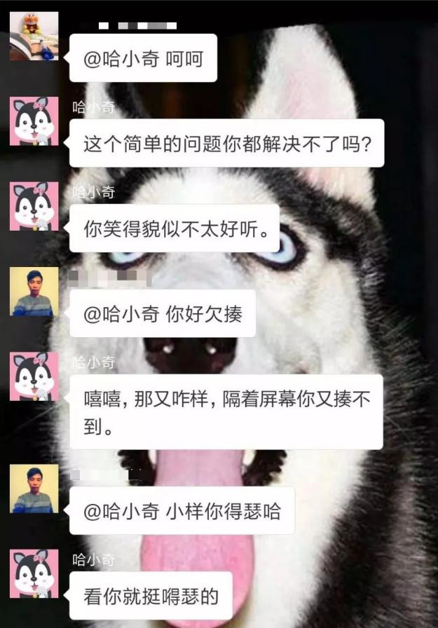 养一只王二狗宠物到底是一种怎样的体验！