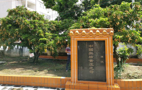 郁南无核黄皮：八旬母树引客来 一大产业助发展