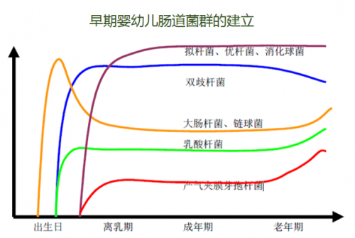 健合集团即将推出合生元益生菌滴剂