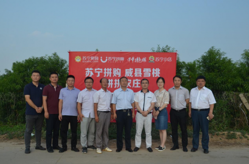 智慧零售+产地直采 苏宁拼购助力“水浒传脆梨”首度触网