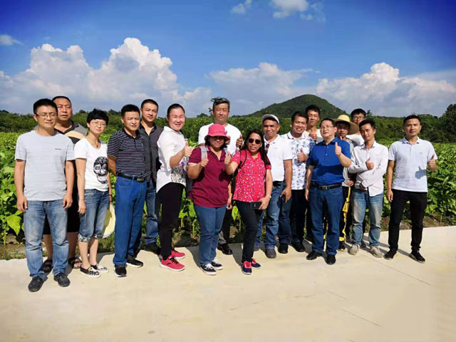 菲律宾烟草专家考察天鹰兄弟植保无人机