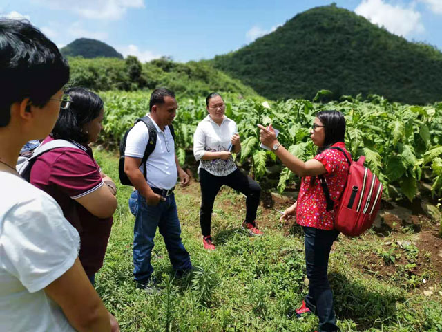 菲律宾烟草专家考察天鹰兄弟植保无人机