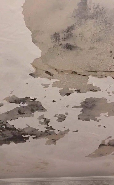 自如租房不“自如” 漏水一月小情侣每晚“流浪”