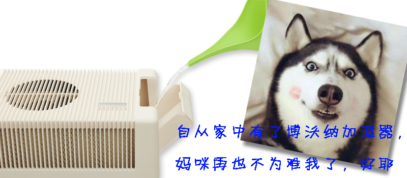 博沃纳：一个月只需要按下一次开关的加湿器