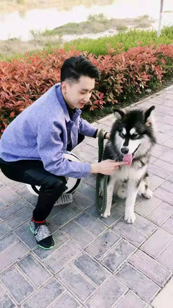 做楼长 养自己 