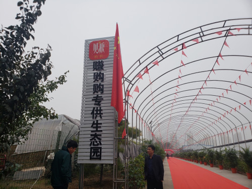 赚购购与宇丰农业达成战略合作，勇探基于社交电商的新农业之路