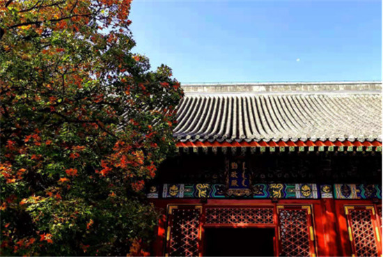 作家蜀水：香山红叶传承着红色的基因