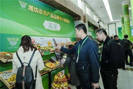 潍坊市农产品品牌推介展销会亮点纷呈，潍坊农品走向全国市场