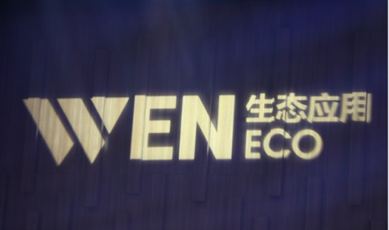构建WEN生态建设完整性，探索全球化发展新路径