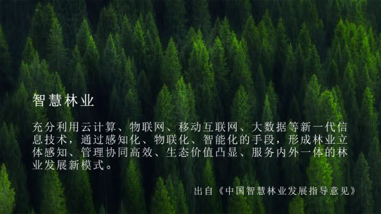 云途腾打造林业云标杆，加速智慧林业进程