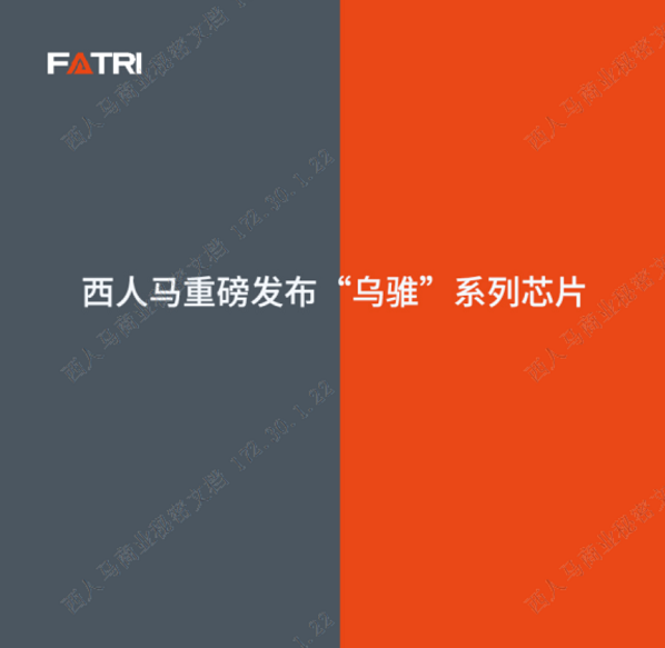 西人马重磅发布“乌骓”系列芯片，快马加鞭布局芯片赛道