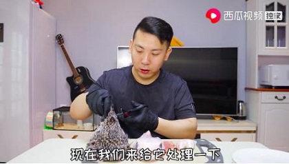 全网都在@韩小浪，他靠 “有吃必应”挑战，成为一本行走的试吃指南
