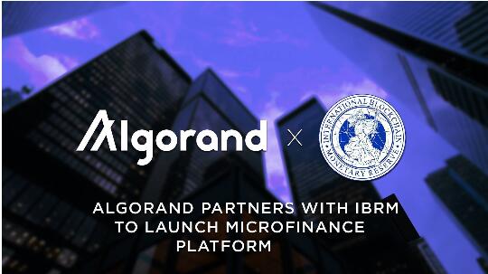 IBMR与Algorand合作建立宏观经济平台