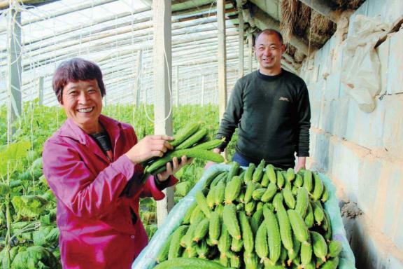 以“行”为魂，打造农业生态产业链