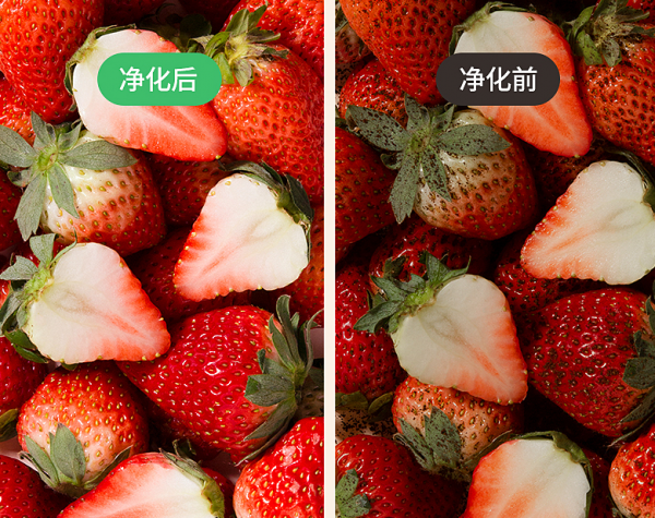 法格果蔬清洗机，清洗更“净”一步