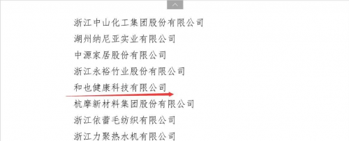 和也入选2019年浙江省“隐形冠军”培育企业