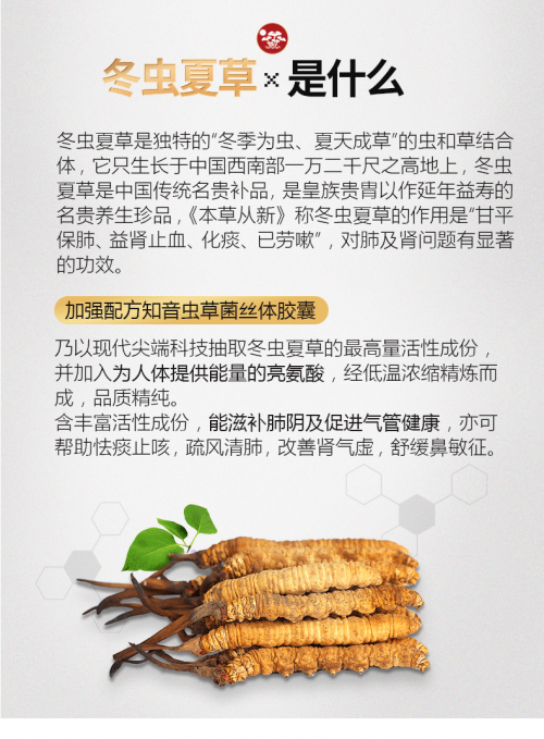 早春养肺 虫草当先，维特健灵知音虫草助力肺健康