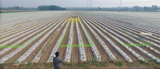 农业管理+AI，看极飞如何“玩转”智慧农场