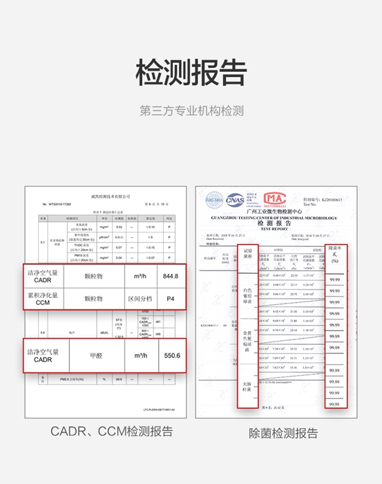 杨柳絮泛滥引发过敏症，IAM空气净化器助你远离过敏“元凶”