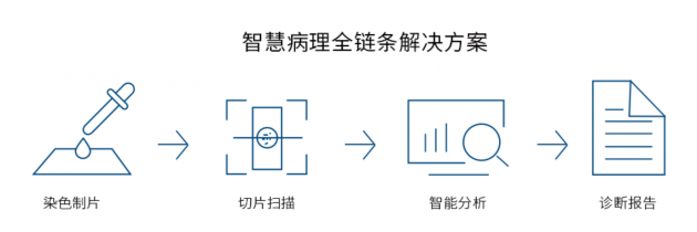 视见科技完成新一轮数千万融资，产业资本助力AI病理加速落地