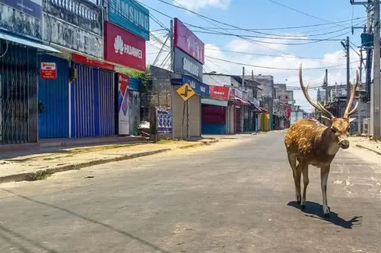 封国后的印度街道