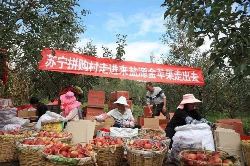 两会聚焦乡村振兴 看电商兴农的十八般武艺