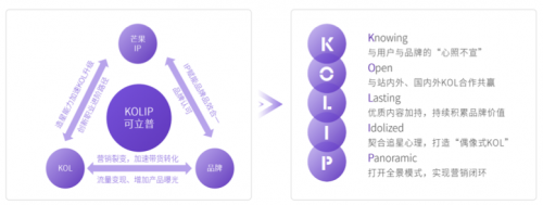 2020 KOL营销洞察报告：可立普模式能否成为KOL营销神器？