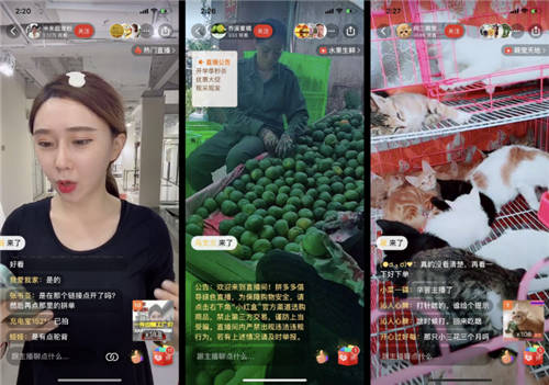 卡思数据：多多直播半年纪，真凉了？还是有机会？