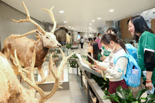 恒隆集团庆祝成立60周年，内地九城及香港义工活动惠及4500人