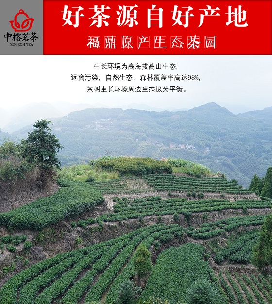 中榕茗茶：只有好茶才具备收藏的价值