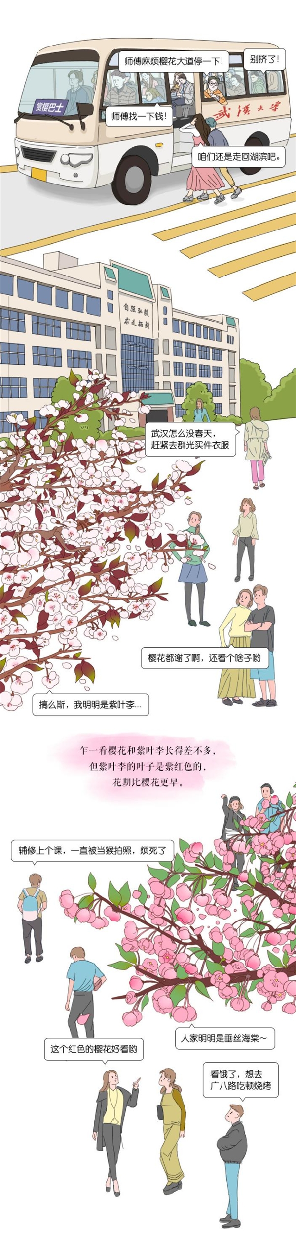 深耕城市知识垂类 网易“城市漫游计划”首夺行业TOP.2