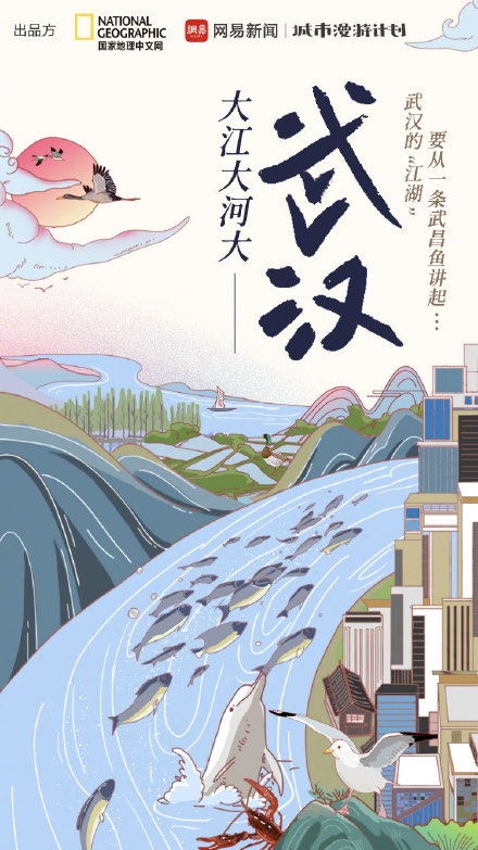 深耕城市知识垂类 网易“城市漫游计划”首夺行业TOP.2